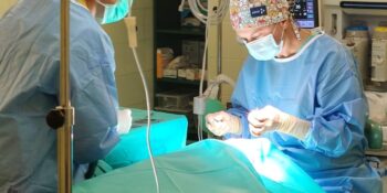 Jak wygląda operacja zeza?