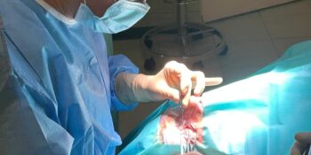 Okulista od zeza – kim jest strabolog i kiedy warto go odwiedzić?